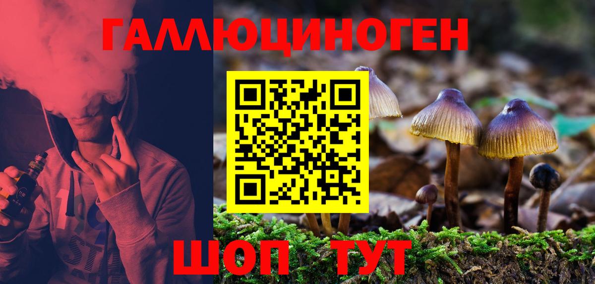 Галлюциногенные грибы мицелий Майкоп