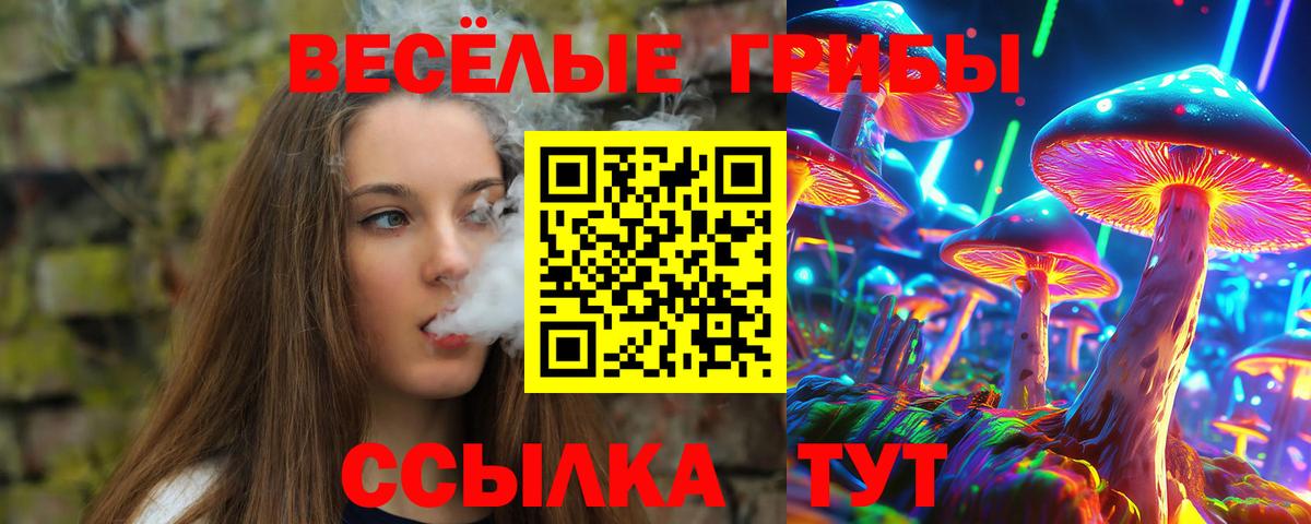Псилоцибиновые грибы Psilocybine cubensis  Вход с VPN  Майкоп 